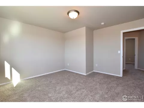 330 August Ln, Windsor, CO 80550 photo 32