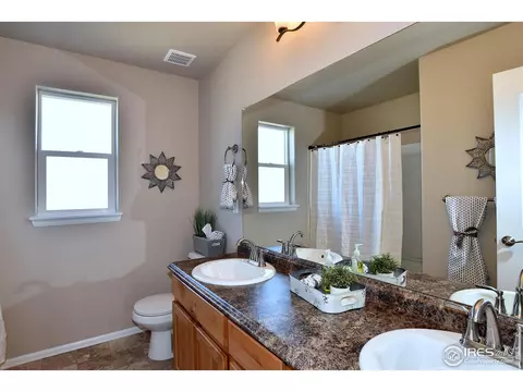 330 August Ln, Windsor, CO 80550 photo 29