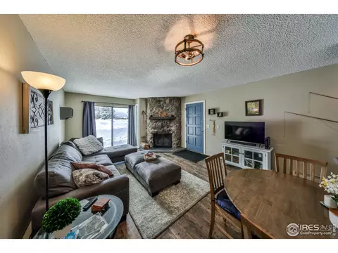 832 Gcr 382 #11-2, Fraser, CO 80442