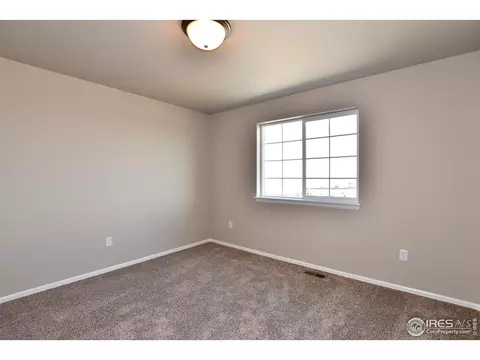 306 August Ln, Windsor, CO 80550 photo 26