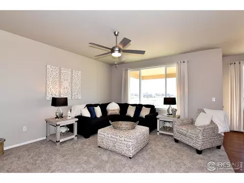 306 August Ln, Windsor, CO 80550 photo 5