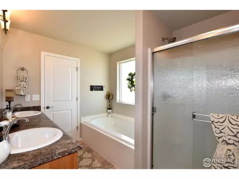 306 August Ln, Windsor, CO 80550 photo 22