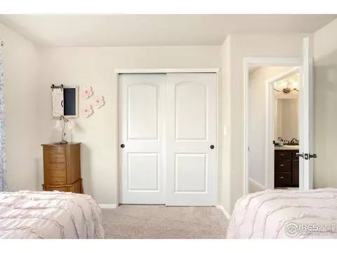 1317 Chamois Dr, Severance, CO 80550 photo 26