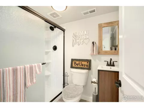 1317 Chamois Dr, Severance, CO 80550 photo 32