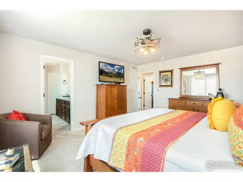 1317 Chamois Dr, Severance, CO 80550 photo 19