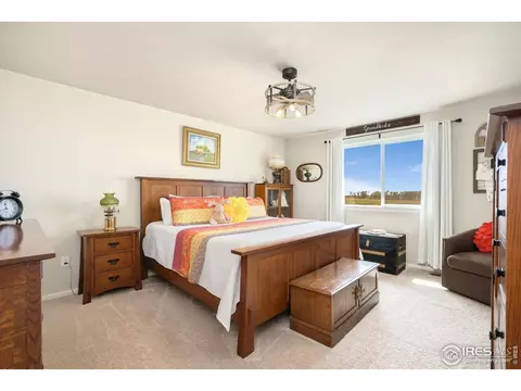1317 Chamois Dr, Severance, CO 80550 photo 18