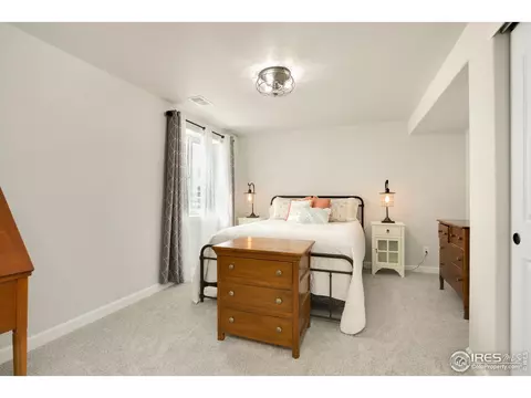 1317 Chamois Dr, Severance, CO 80550 photo 31