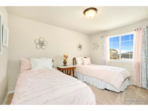 1317 Chamois Dr, Severance, CO 80550 photo 25