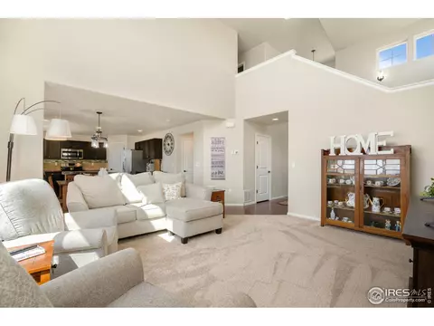 1317 Chamois Dr, Severance, CO 80550 photo 10