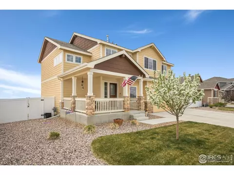 1317 Chamois Dr, Severance, CO 80550 photo 4