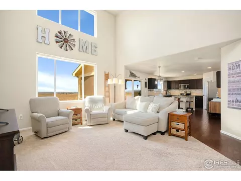 1317 Chamois Dr, Severance, CO 80550 photo 9