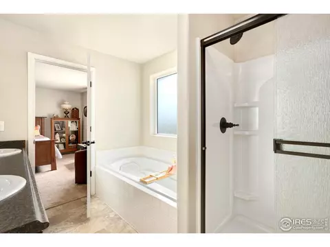1317 Chamois Dr, Severance, CO 80550 photo 21