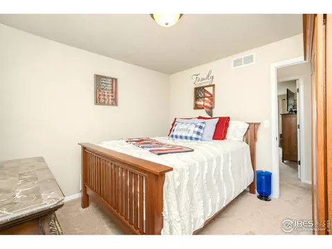 1317 Chamois Dr, Severance, CO 80550 photo 23