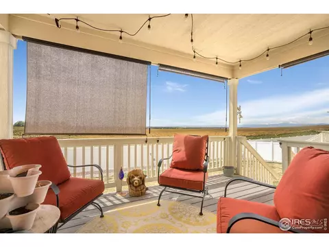1317 Chamois Dr, Severance, CO 80550 photo 33