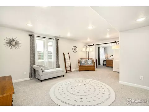 1317 Chamois Dr, Severance, CO 80550 photo 28