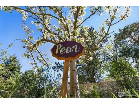 700 Brooklawn Dr, Boulder, CO 80303 photo 25