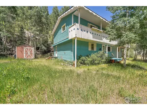 845 Silver St, Silver Plume, CO 80476