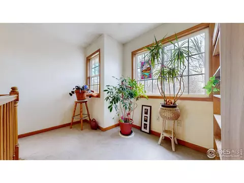 313 E Iowa Ave, Berthoud, CO 80513 photo 9