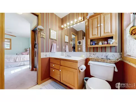 313 E Iowa Ave, Berthoud, CO 80513 photo 12