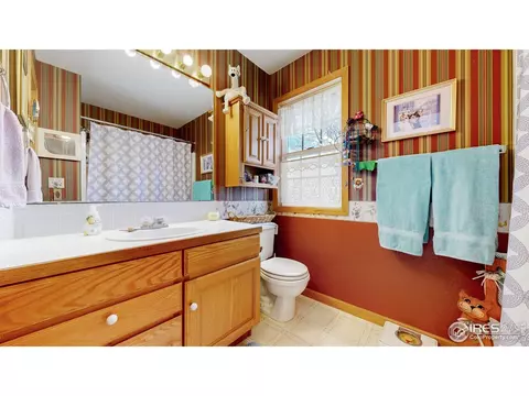 313 E Iowa Ave, Berthoud, CO 80513 photo 13