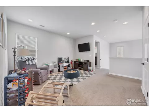 6935 E 133rd Ave, Thornton, CO 80602 photo 20