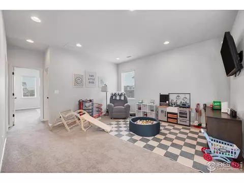 6935 E 133rd Ave, Thornton, CO 80602 photo 19