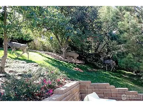 2790 Juilliard St, Boulder, CO 80305 photo 37