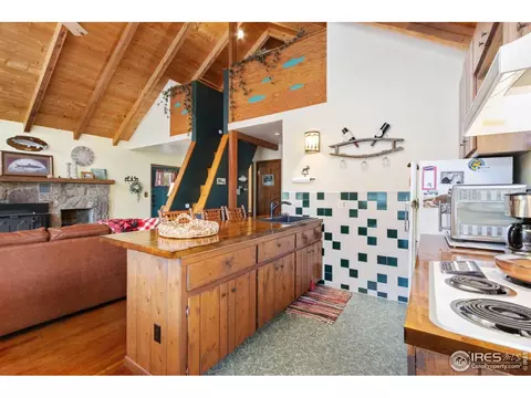 741 Hickory Dr, Lyons, CO 80540 photo 14