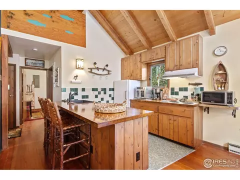 741 Hickory Dr, Lyons, CO 80540 photo 13