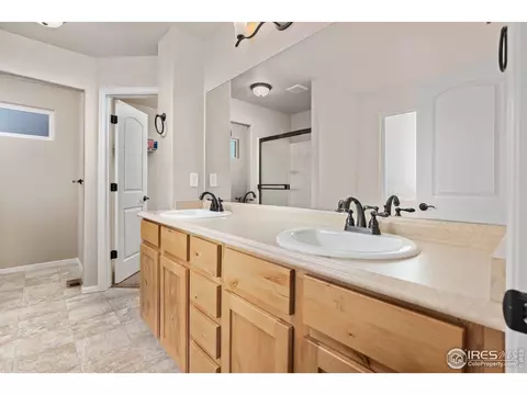 807 Mt Sneffels Ave, Windsor, CO 80550 photo 8