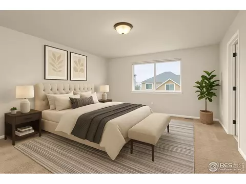 807 Mt Sneffels Ave, Windsor, CO 80550 photo 7