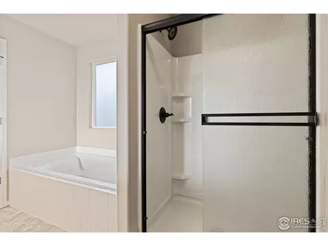 807 Mt Sneffels Ave, Windsor, CO 80550 photo 9
