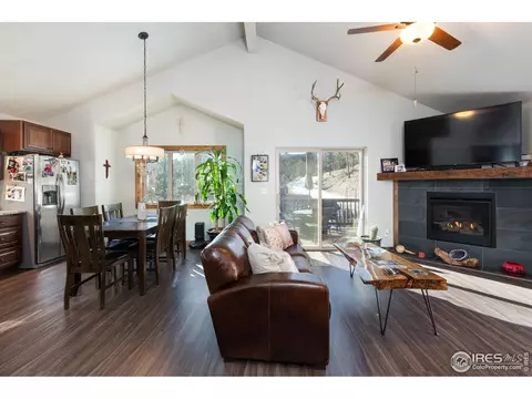 204 Virginia Rd, Bailey, CO 80421 photo 12