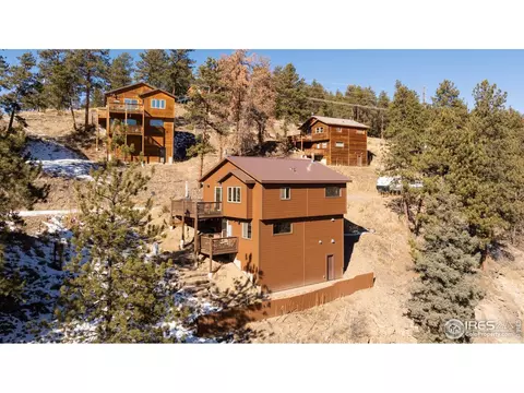 204 Virginia Rd, Bailey, CO 80421 photo 20