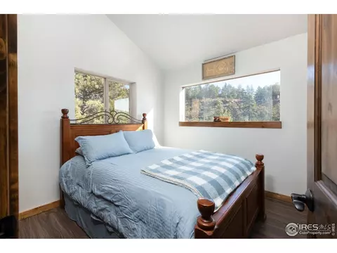 204 Virginia Rd, Bailey, CO 80421 photo 11