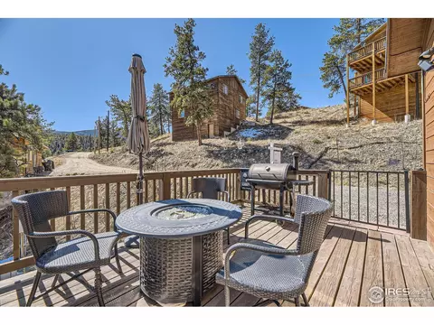 204 Virginia Rd, Bailey, CO 80421 photo 8
