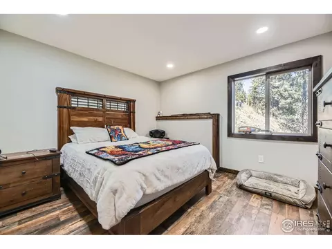 204 Virginia Rd, Bailey, CO 80421 photo 6