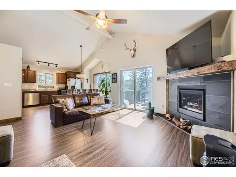 204 Virginia Rd, Bailey, CO 80421