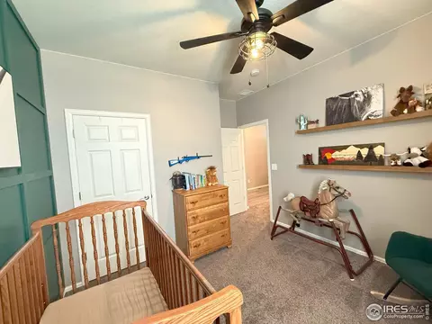 1780 Floret Dr, Windsor, CO 80550 photo 22