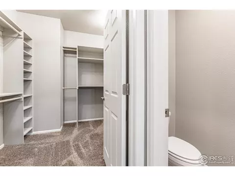 1780 Floret Dr, Windsor, CO 80550 photo 19
