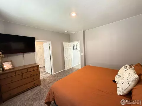 1780 Floret Dr, Windsor, CO 80550 photo 16