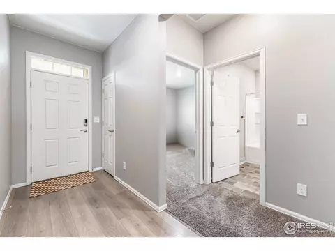 1780 Floret Dr, Windsor, CO 80550 photo 5