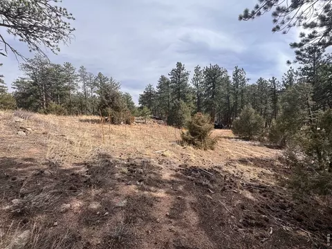 0 Cedar Dr, Lyons, CO 80540 photo 9