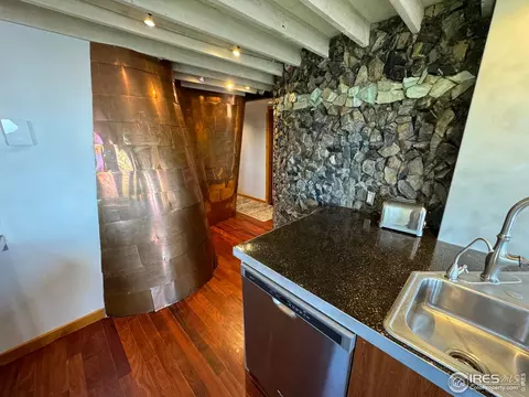 291 Canon View Rd, Boulder, CO 80302 photo 23