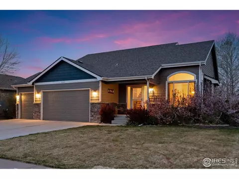 6541 Cranesbill St, Wellington, CO 80549
