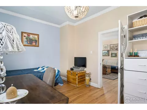 606 Elm St, Windsor, CO 80550 photo 18