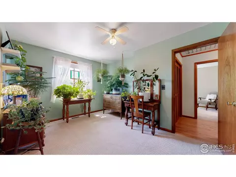 729 Jay Pl, Berthoud, CO 80513 photo 20
