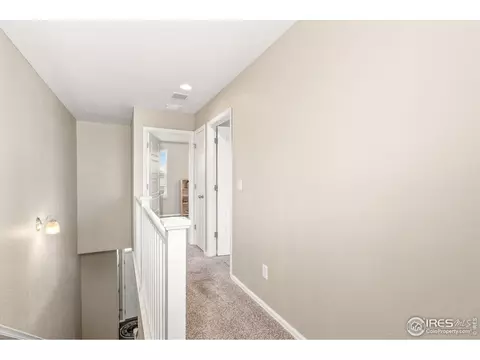 2277 Stonefish Dr, Windsor, CO 80550 photo 15