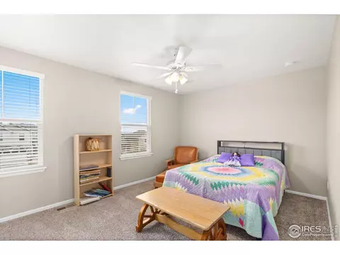 2277 Stonefish Dr, Windsor, CO 80550 photo 21
