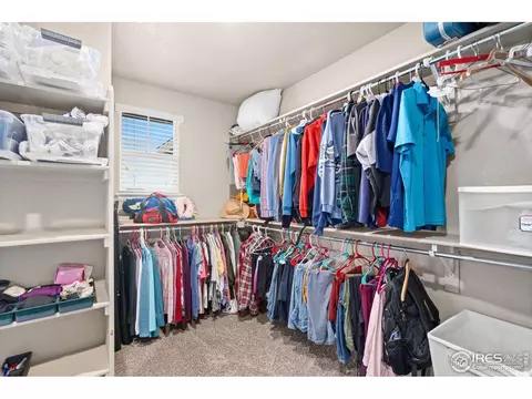 2277 Stonefish Dr, Windsor, CO 80550 photo 20